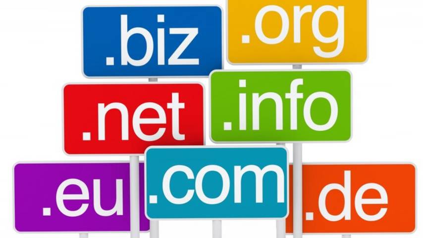 Bulk Domain Name Transfer Service