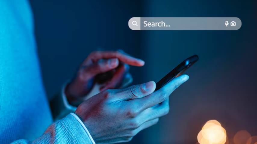 Bulk Domain Name Hosting Service